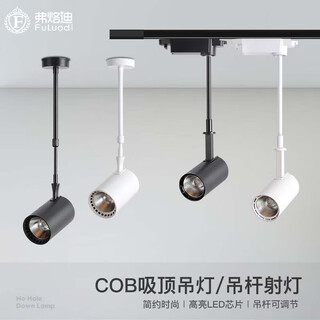 弗烙迪（FuLuodi）明装射灯led轨道灯服装店水果店商用吸顶伸缩长臂加长吊杆导轨灯 轨道式10W 25-50cm伸缩杆 白壳暖光