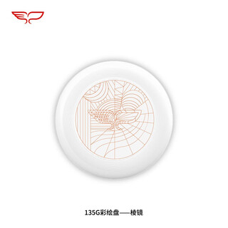 Yikun discs painted frisbee children's coloring parent-child interaction diy custom toy blank disc 135g-prism
