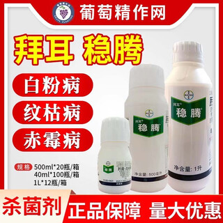 Bayer bayer benteng tebuconazole trifloxystrobin wheat powdery mildew disease rice sheath blight and corn gray leaf spot pesticide fungicide 1l