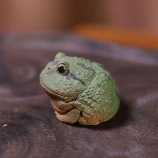 Ensa purple sand tea pet small horned frog boutique can raise frogs tea play fish tank landscaping decorative tea table ornaments green horned frog purple sand