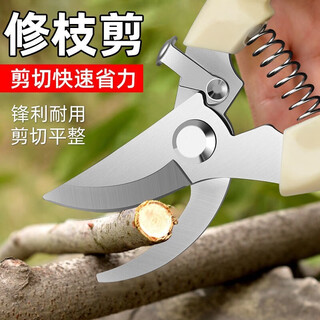 Huhao pruning scissors, pruning scissors, garden flower arrangement, fruit tree scissors, thick flower scissors, gardening scissors tools, elbow scissors (professional style)