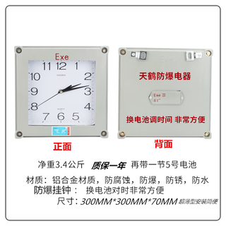 Tianhe explosion-proof quartz clock, explosion-proof wall clock, explosion-proof box, clock, electronic clock, digital clock, hazardous area ling 300*300 bawang movement with battery behind it 12 inches