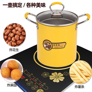 Haiduo fryer 3l tempura fryer fryer with filter lid household mini small fryer fryer 3l with filter 16.5cm