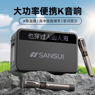 山水（SANSUI）便携式手提音箱广场舞音响音箱带KTV无线话筒小型直播k歌音响移动户外大功率声卡卡拉OK G13【歌词同步+一键消音】