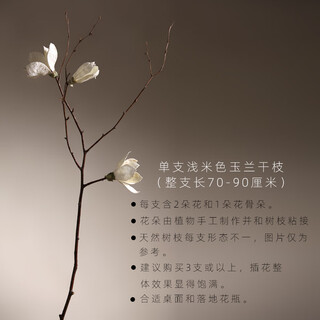 Aesthetic hacker handmade birch trunks mountain twisted magnolia branches bouquet living room decoration dried flowers real flowers flower arrangement home indoor three magnolia off-white more affordable