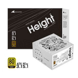 长城（Great Wall）猎金H系列金牌全模组台式主机台式机电脑电源 漏电监测/单路12V/全电压/自动启停 ATX3.1 H6 650W金牌全模组/白色