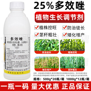 25% paclobutrazol fruit tree mango controlling growth and shoot dwarfing agent wheat regulation increase yield plant growth regulator 1000g*5 bottles