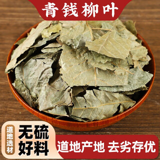 北京同仁堂青钱柳500g克中药材新货正宗青钱柳叶金钱柳 青钱柳茶中草药 包邮 青钱柳500克