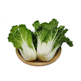 Frosted cabbage yellow cabbage 600g