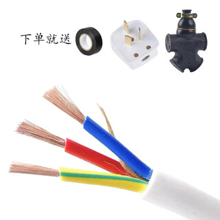 国标电缆线电线家用软线护套2/3芯1.5 2.5 4 6平方户外三相电源线 白色皮-国标3芯2.5平方3500瓦 10米送插头插座胶布电笔