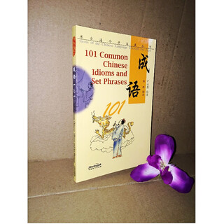 Learning chinese idioms 101 (pinyin notes + chinese-english comparison) chinese idioms usage hsk idiom test tool book
