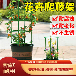 Green gardener plant climbing bracket flower green plant climbing fixed pillar anti-lodging support fixed flower pot shelf four layers