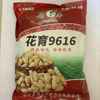 Huayu 0 семена арахиса раннеспелые Архат тонкокожие huayu 9616 оригинальные семена арахиса с высоким выходом масла и пищевого использования huayu 9616 оригинальные 5 jin jin равные 0,5 кг
