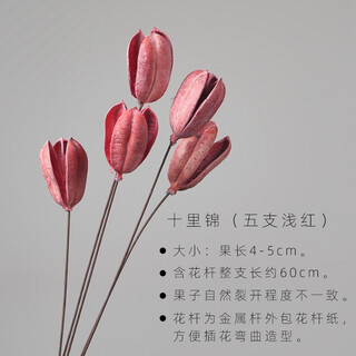 Aesthetic hacker living room flower arrangement dried flower bouquet real flower mix and match floor furnishing restaurant desktop pine cone decoration natural photo props shili brocade red 5 count