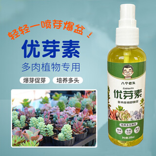 Eight old men's sprouting hormone, succulents, sprouting, sprouting, color and fattening, general germination sprouting hormone, manufacturer's direct hair sprouting hormone, 100ml, 1 bottle