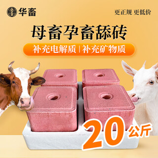 Hua livestock salt bricks for cattle and sheep licking bricks for sheep, salt blocks for cattle, nutritional trace elements, disease resistance, insect repellent and fattening feed additives 20kg1 box special licking bricks for female animals 40jin jin is equal to 0.5kg/box