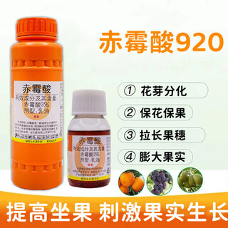 Guoguang gibberellic acid gibberellin 920 growth regulator solution citrus flower and fruit preservation grape germination and antidote 50ml