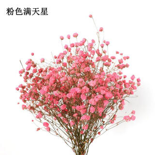 Aiman (aiman) ins air-dried flower bouquet home furnishings small fresh living room flower arrangement internet celebrity decoration baby's breath eternal flower a handful of pink baby's breath dry branches