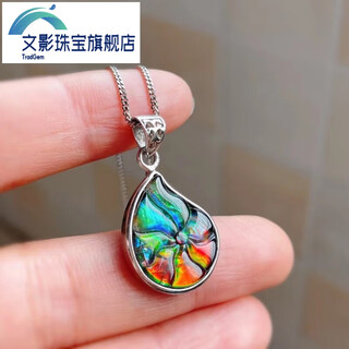 Wenying canada ammolite stone snail pendant