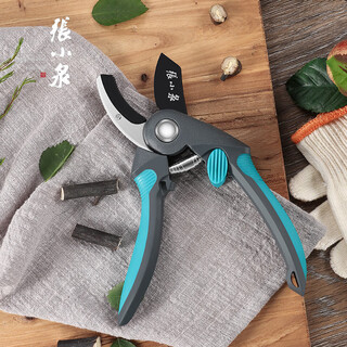 张小泉张小泉ZH-316整枝剪修枝剪刀园林园艺果树枝剪修花枝剪采摘剪子 标准