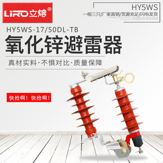 10kv outdoor high voltage drop arrester 10kv detachable arrester hy5ws-17/50dl-tb removable zinc oxide arrester