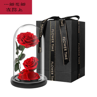 Birthday gift for women, glass cover ornaments, eternal flower gift box, glass cover ornaments, carnations, christmas gifts, real roses, two hearts facing each other