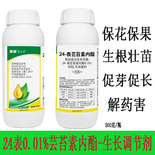 Phytosome 24 tablet 0.01% brassinolide lipid foliar fertilizer for vegetable and fruit trees to strengthen seedlings and antidote pesticide growth regulator 500g/bottle*1 bottle