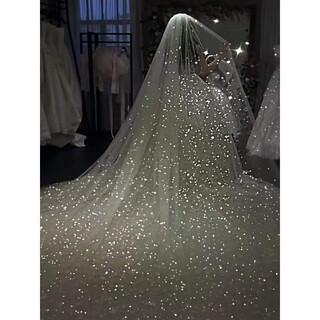 Double-layer jewelry veil, starry sky glitter veil, super glitter, double-layer long style, large tail, single-layer main wedding dress, wedding headdress, super fairy style, super glitter starry sky veil, single layer, 3.5 meters, 175cm or more