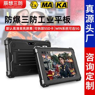 辰想三防W10Y三防平板工业电脑10英寸 加固防爆NFC模块windows10系统国产掌上PAD四核8线程触摸终端平板PAD W10Y（定制定金+自选配件） 三防版本