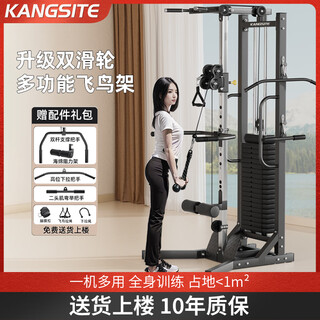 Kangsite (kangsite) unilateral fly bird comprehensive trainer high pull-down arm training pull-up gantry household strength training equipment luxury two-wheel fly bird 100kg counterweight/gift package