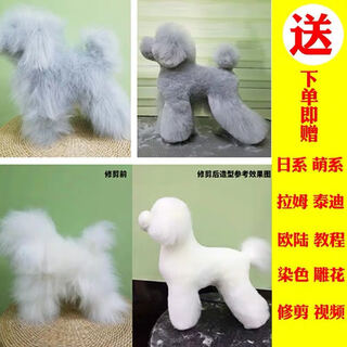 It it rui pet grooming practice teddy vip fake hair model fake dog hair piece fake head hair fake back hair full body hair vip primary practice hair does not include the skeleton