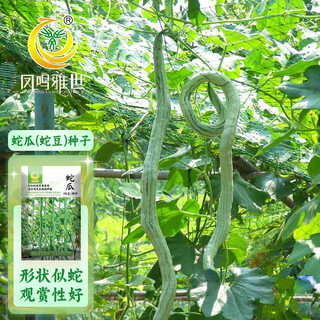 Fengming yashi snake bean seeds are sown in all seasons, ornamental seeds, wild vegetables, potted vegetables, snake melon seeds, 20 seeds