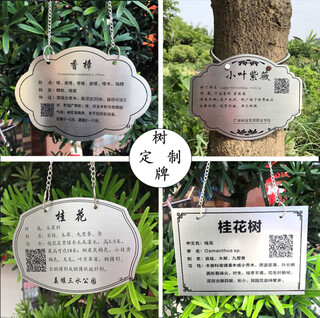 Tree sign custom-made stainless steel metal green plant greening sign courtyard flowers and trees introduction adoption plug-in stainless steel 13*8 15 pcs + ground 15*20 12 pcs