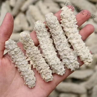 Dried topaz sea cucumber, light dried sea cucumber, yellow ginseng, white topaz ginseng, hotel ingredients, non-ready-to-eat liao ginseng, selected large size 500g (100 heads)