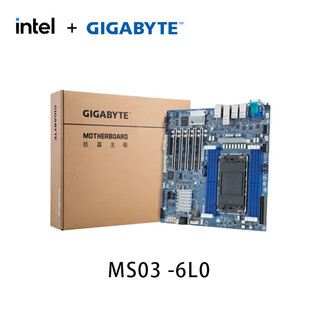 技嘉GIGABYTE 工作站主板MS03 MS73 DDR5 LGA4677 INTEL 四代五代至强XEON C741单路双路服务器  MS03-6L0
