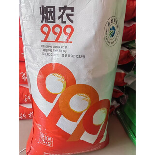 High-yielding dwarf wheat seeds jimai 38 luyan 128 luyan 951 malan no. 1 field planting crop wheat tobacco farmer 999 30jin jin equal to 0.5 kg original