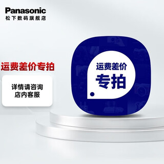 Panasonic mirrorless camera 1