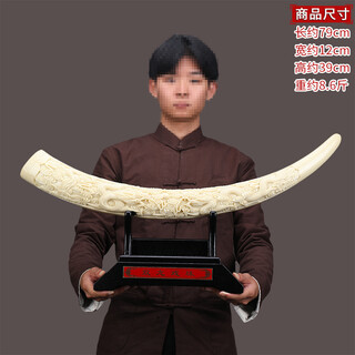 Xinda warwick (xindhw) chinese ivory ornaments modern simple simulation art tv cabinet living room wine cabinet entrance home craft decorations double dragon ivory (medium size) 79*12*39 cm