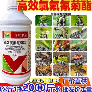 Bainongstar high-efficiency cyhalothrin, cabbage, cabbage caterpillar pesticide, insecticide 500g1 bottle
