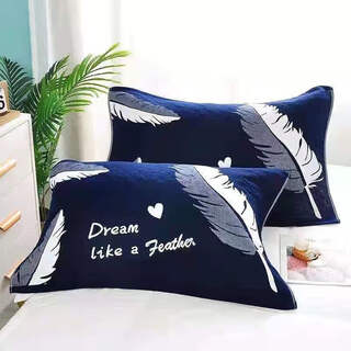 A pair of light luxury pillow covers, black stain-resistant and non-fading pillow covers, cartoon adult pillow covers, student douyin celebrity, feather black pair