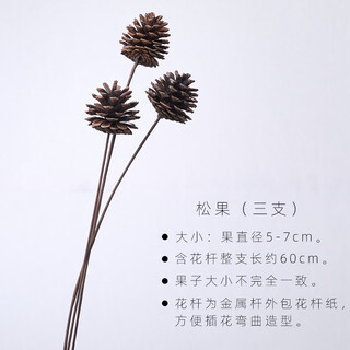 Aesthetic hacker living room flower arrangement dried flower bouquet real flower mix and match floor display restaurant desktop pine cone decoration natural photo props 3 pine cones