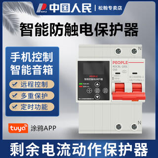 People's intelligent residual current action circuit breaker remote control automatic reclosing over and under voltage leakage protector 2p (normal 485 version)
