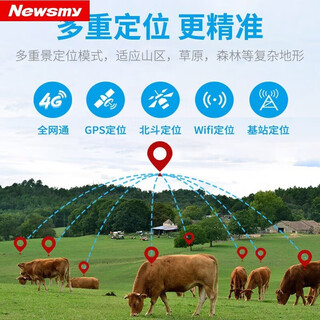 Newman 4g cattle and sheep tracking gps locator for mountain grazing special satellite booking horse animal anti-lost tracking 4g cattle and sheep locator