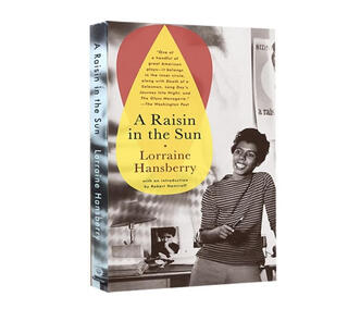 现货英文原版 阳光下的葡萄干 A Raisin in the Sun