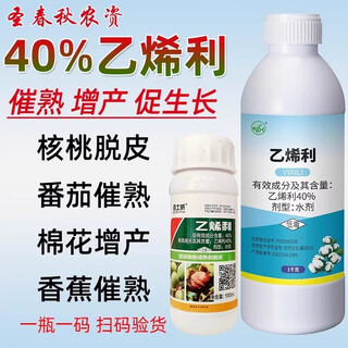Ethephon agent, kiwi, mango and banana ripening agent, ethyl tomato, ethyl walnut peeling agent, cui shuji 100g