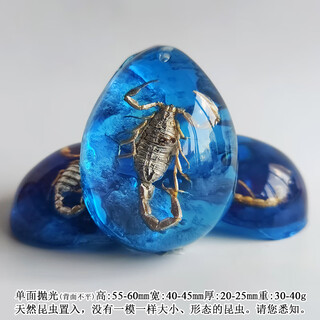 Huilu insect amber pendant natural butterfly specimen insect amber necklace with insect animal pendant making fashion creative