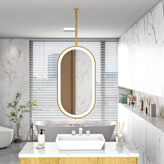 Win point bathroom mirror suspended mirror with light double-sided light-emitting mirror oval cosmetic mirror hotel bed and breakfast ceiling bathroom single-way mirror 40cm*80cm + hanging rod 60cm gold