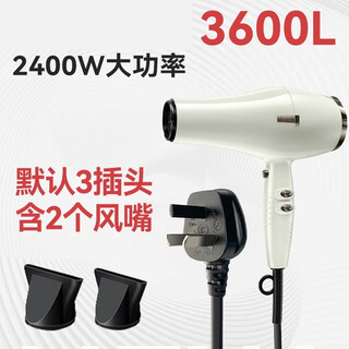 Jrl professionaljrl hair dryer negative ion barber shop hair salon hair stylist dedicated high-speed high-power quick-drying eagle castle hair dryer jrl-3600l hair dryer (white)