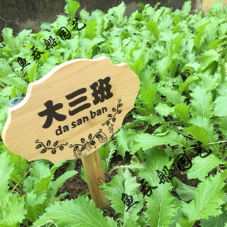 Ground sign custom wooden sign park vegetable garden vegetable field wooden grass planting area sign vertical ground sign love 20*10