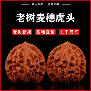 Shanzhong yuwen plays with walnuts and plays with the old tree in his hand as a mid-autumn festival gift for men. black gold model 40-41mm wheat ear tiger head.
